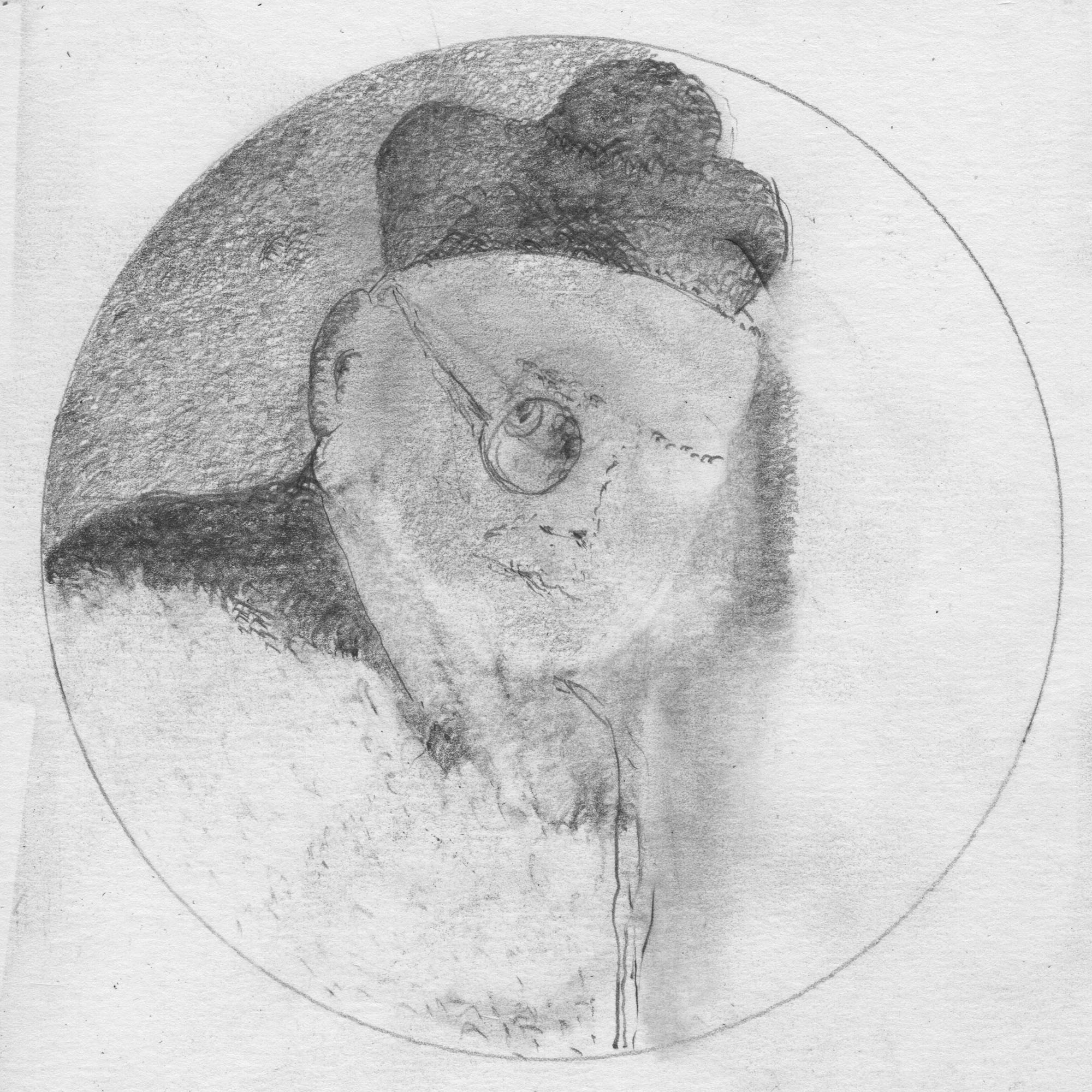 August Sander - The Clergyman